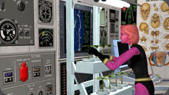 Magenta Rose in Action