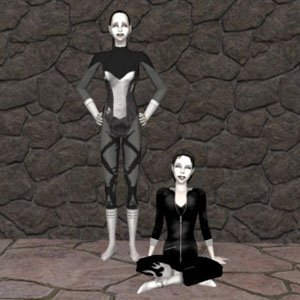 The Monochromatic Duo